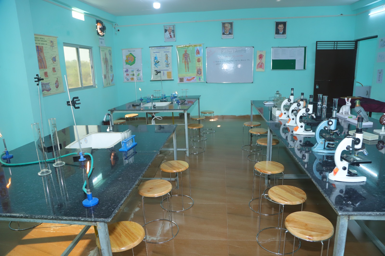 Other Image